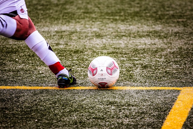 他的优势 他的优势