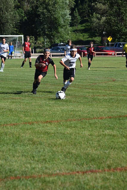 公开了长预 公开了长预